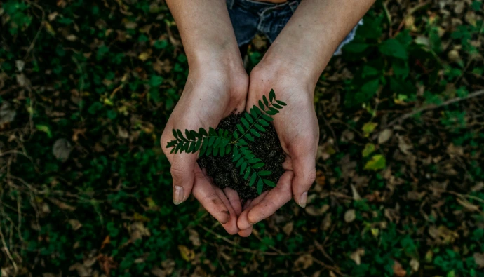 Environmental Compliance with Odoo ERP