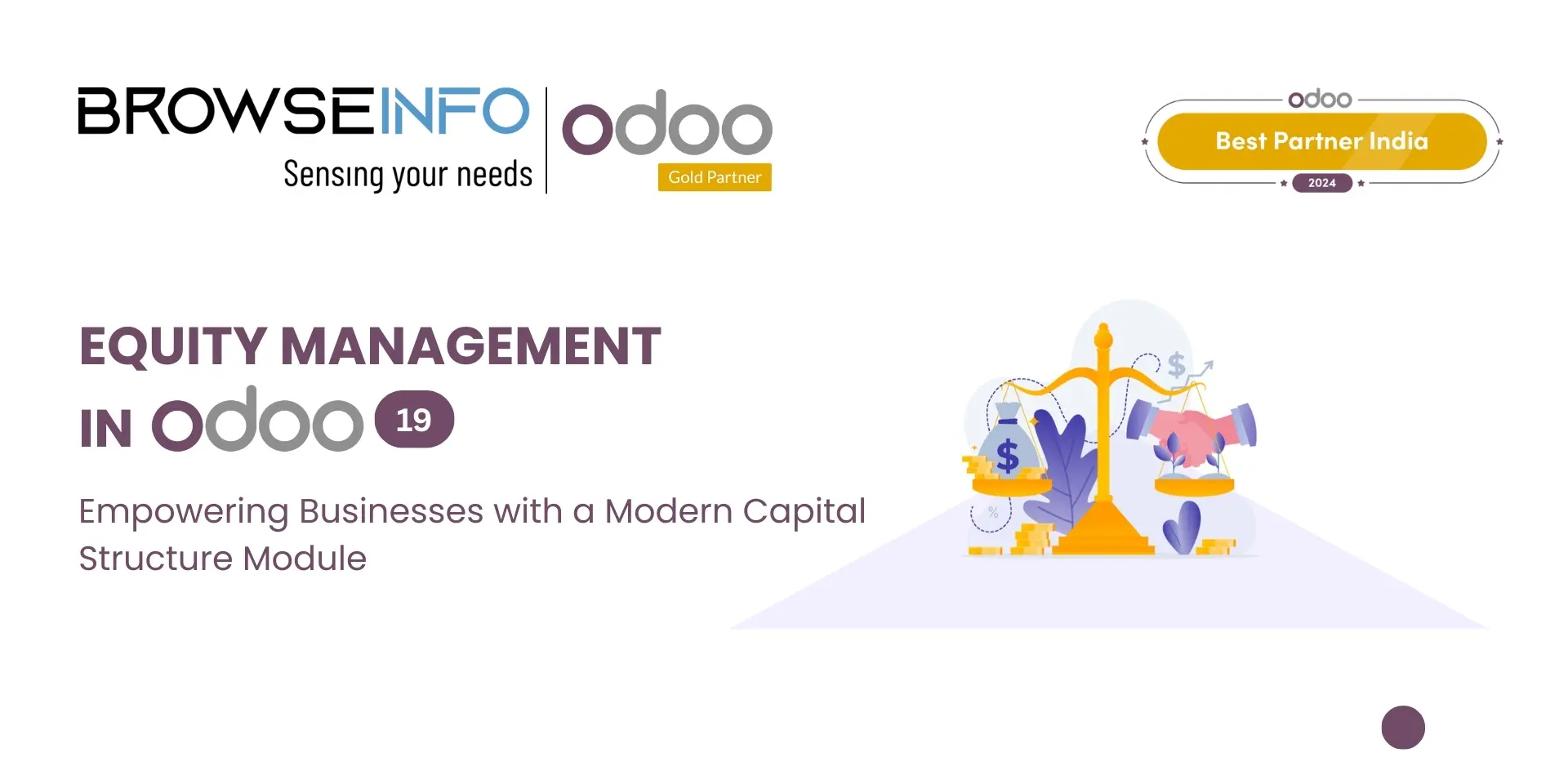 Odoo 19 Equity Management | Cap Table & Ownership