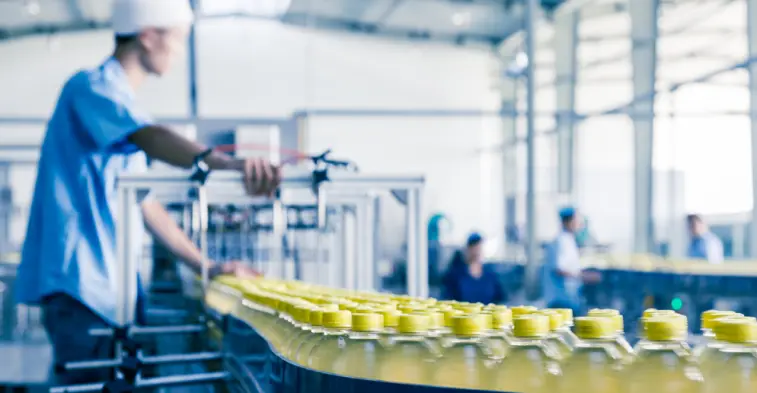 Worker monitoring beverage bottles moving along automated production line