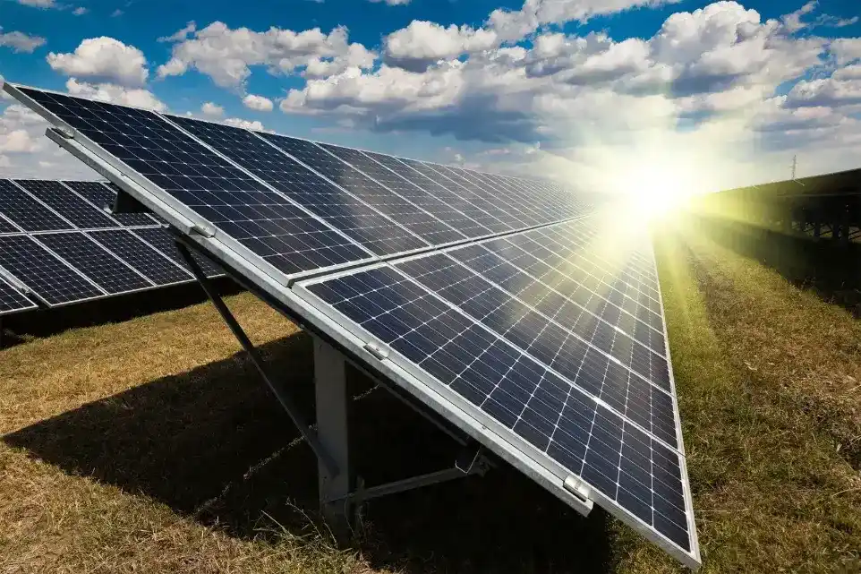 Solar panels installed in an open field capturing sunlight for energy